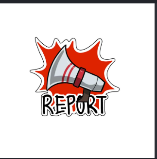 REPORT
